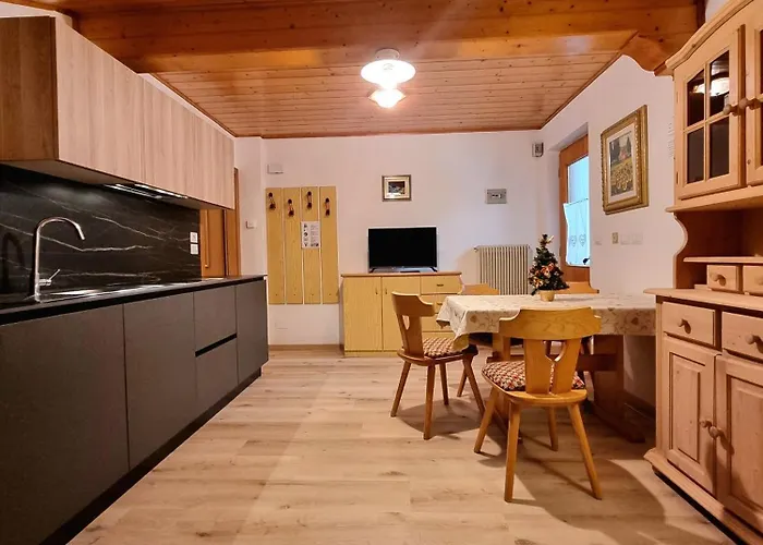 Cesa Elena 까나제이